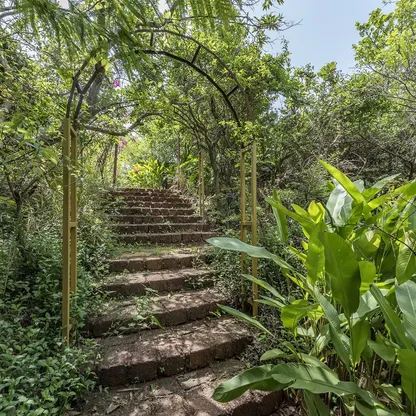 Garden 4 — Zen Forest Cabin Garden 4 of Zen Forest Cabin in Mulshi