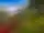 The Lazy River Cottage The Lazy River Cottage in Velhe — photo 1