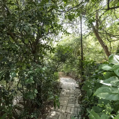 Garden 5 — Zen Forest Cabin Garden 5 of Zen Forest Cabin in Mulshi